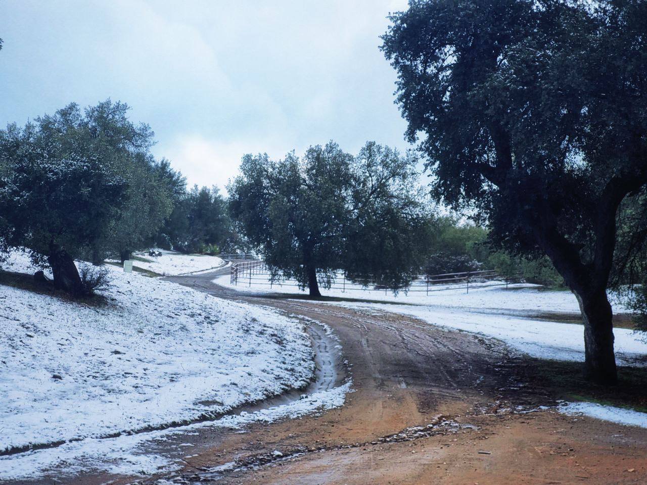 Nagarjuna Cultural Center’s Retreat Center in San Diego