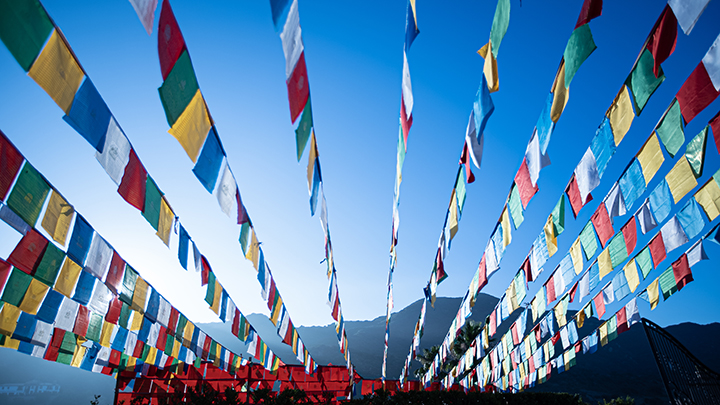 Cognition and Expression Part Three